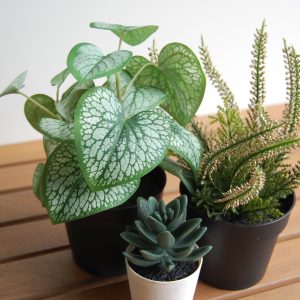 Decoratie & feestbenodigdheden